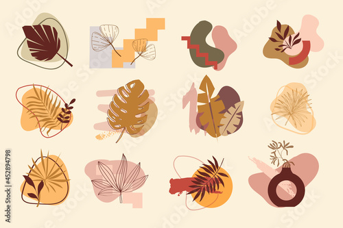 Collection of abstract backgrounds, logo elements. Organic elements and brushes. Tropical leaves set