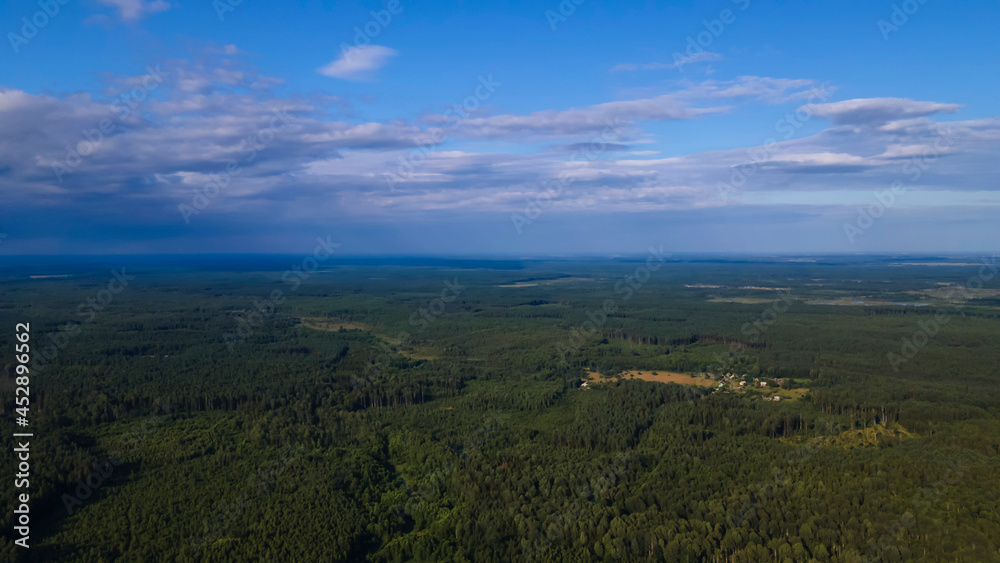 Pine forest from a height. Aerial drone view over a lush green pine forest. Nature concept.