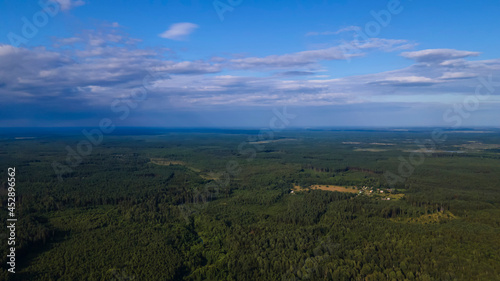 Pine forest from a height. Aerial drone view over a lush green pine forest. Nature concept.
