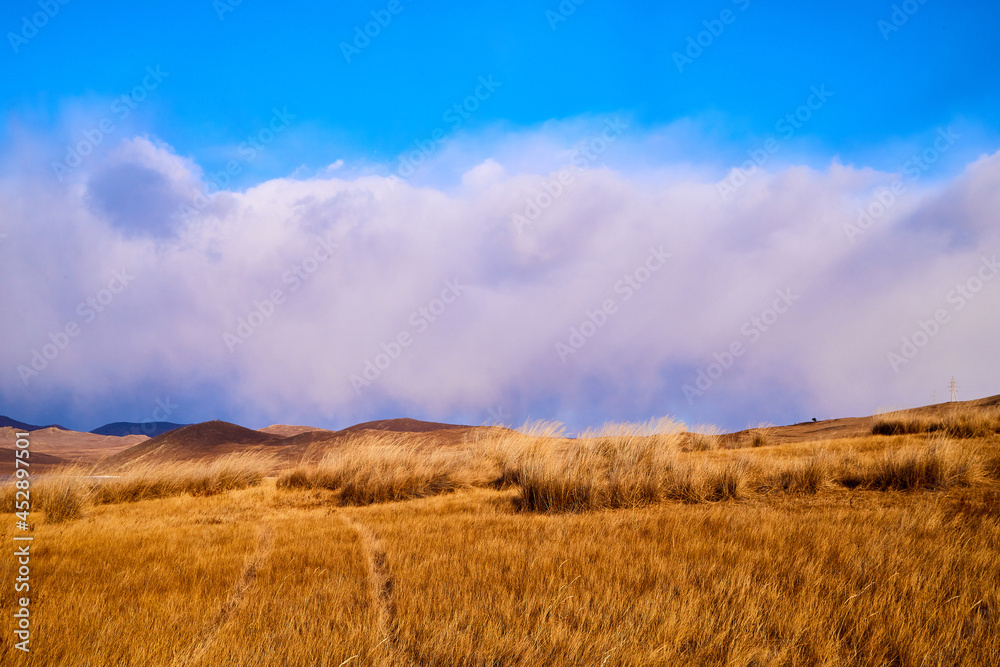 Nature landscape with golden glass, old rural road, hills and blue sky with white clouds on background in a nice day or a evening
