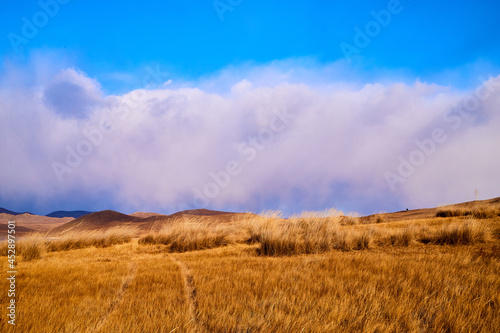 Nature landscape with golden glass  old rural road  hills and blue sky with white clouds on background in a nice day or a evening