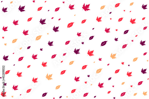 Autumn Leaf Pattern