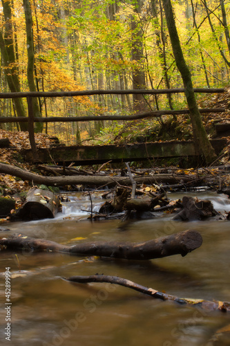 Bridge over a stream with fallen trees on a fall day at Karlstal in Germany. photo