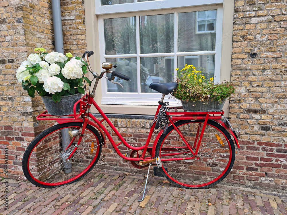 Typical dutch: old red dutch bike with blossoming flowers in the Netherlands