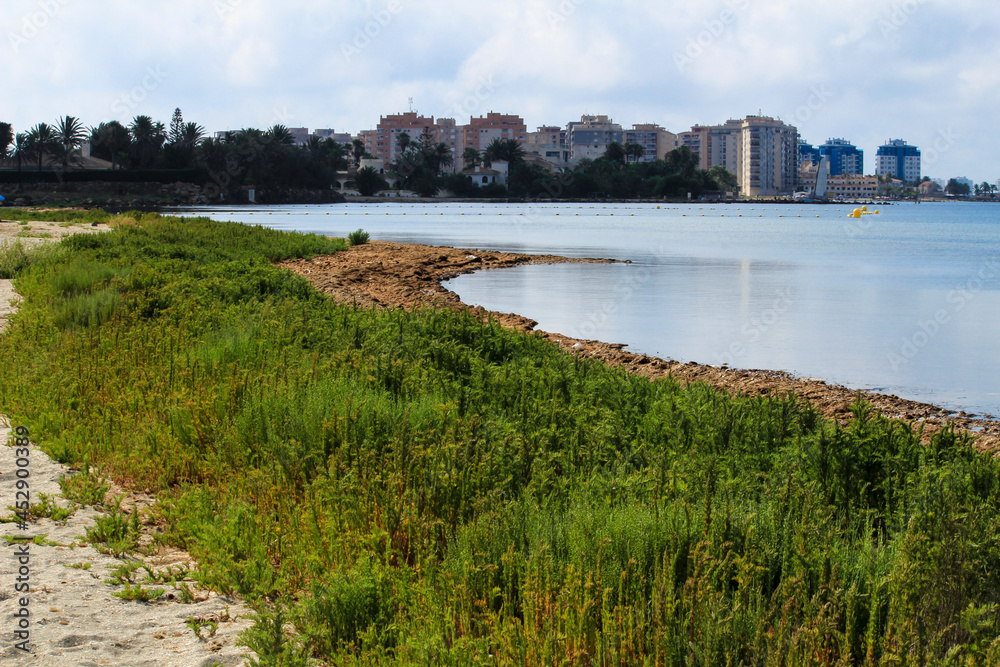 Beautiful Manga del Mar Menor wetlands Beautiful Manga del Mar Menor wetlands