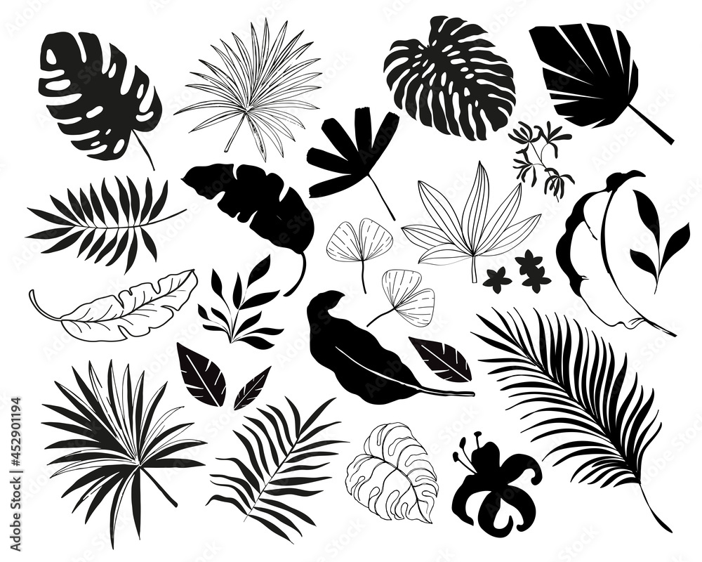 Summer set of tropical palm leaves. Vector illustration black silhouette on white background isolated