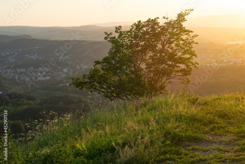 A tree on the edge of a hill at sunset. Beautiful rural panoramic landscape.