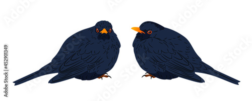 A set of images of birds