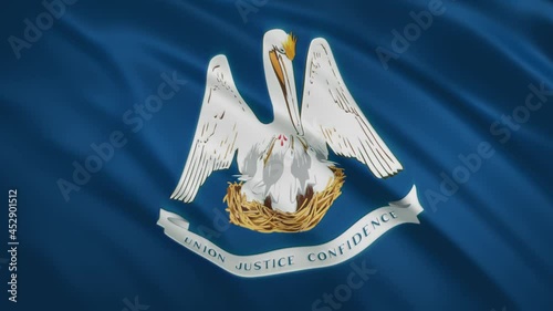 Louisiana - Waving Flag Video Background