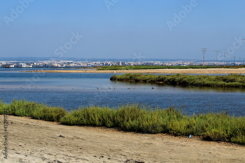 Beautiful Manga del Mar Menor wetlands