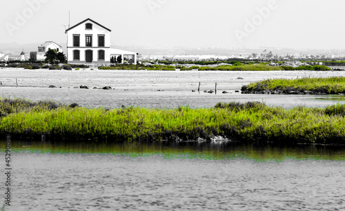 Beautiful Manga del Mar Menor wetlands photo