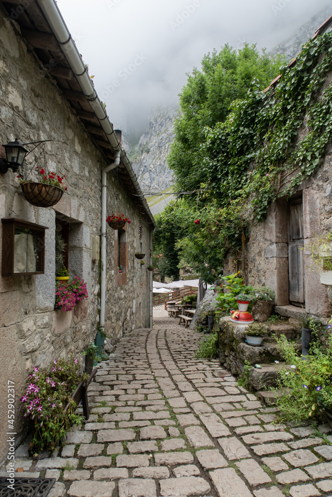 stone street of the town of Bulnes