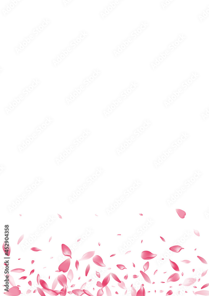 Color Sakura Petal Vector White Background. Pink