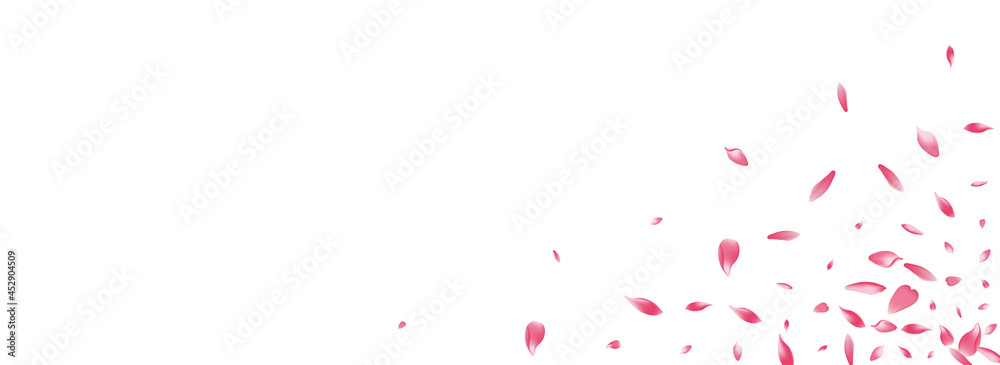 Color Sakura Petal Vector Panoramic Background.