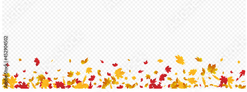Ocher Foliage Vector Panoramic Transparent