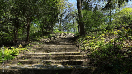 Old stone stairs in the city botanical park
