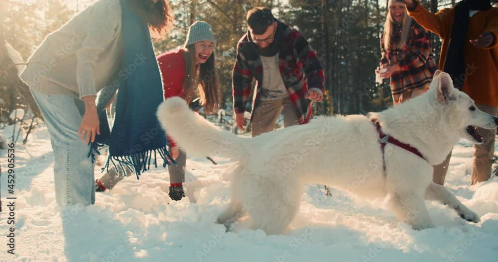 Christmas vacation together. Happy multiethnic friends and dog play with snow throwing it in sunny forest slow motion.