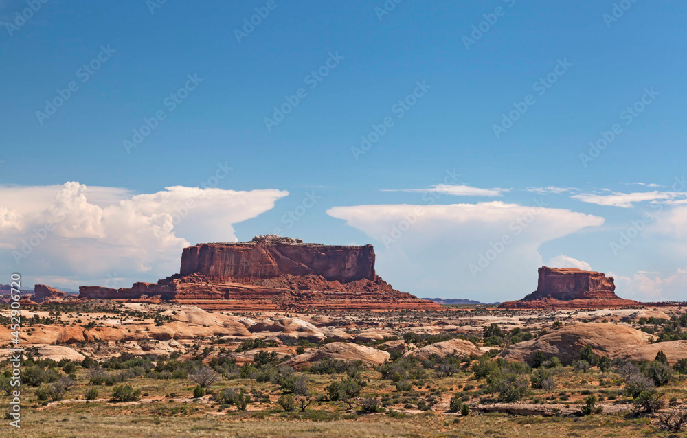 Fototapeta premium Unterwegs im Urlaub-USA-SW