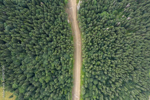 Aerial view from above of a country road through a green forest. drone shooting