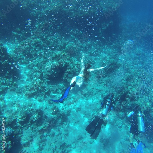 scuba diver and coral reef