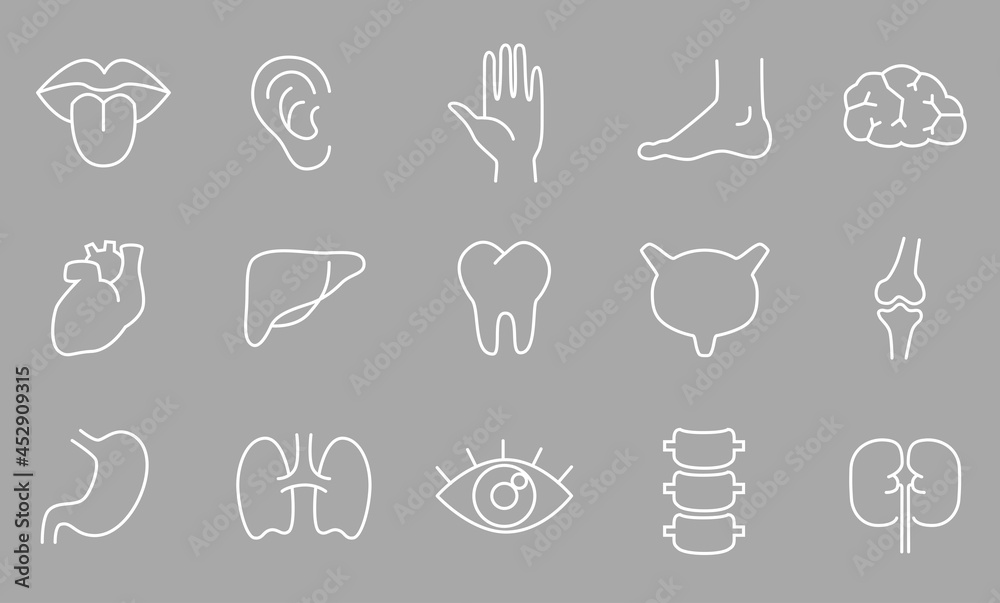 Human body parts, organs - vector linear icon set. Human body parts, organs - vector linear icon set.