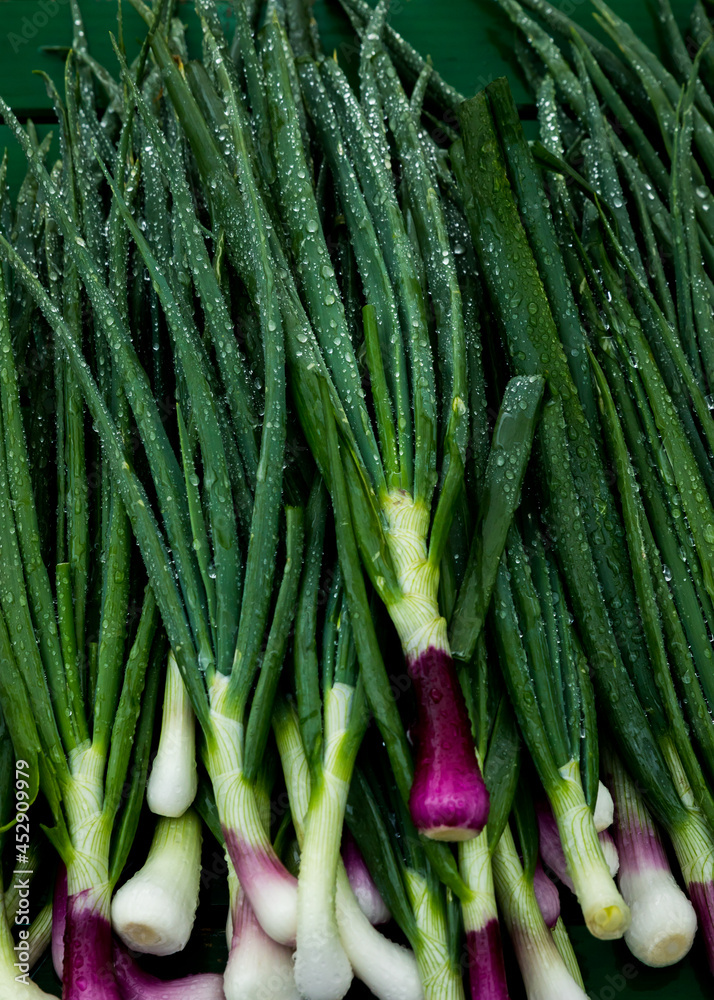 spring onions at the market spring onions at the market
