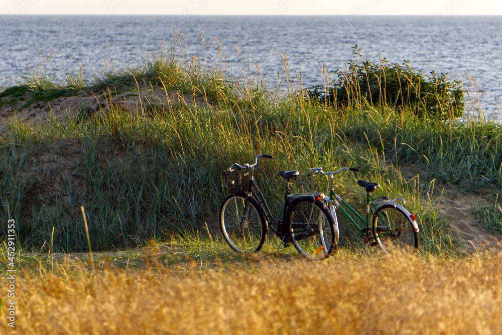 Fototapeta premium bicycles in the field