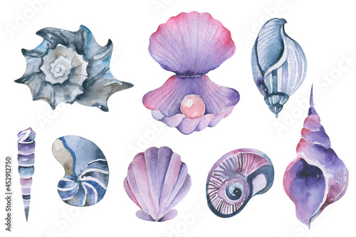 Watercolor seashell beach and ocean design elements  large collection of hand drawn vintage sea shells