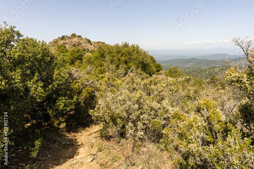 Obraz na plátně Le sentier menant au Fort-Freinet, La Garde-Freinet, Var, Provence-Alpes-Côte d’