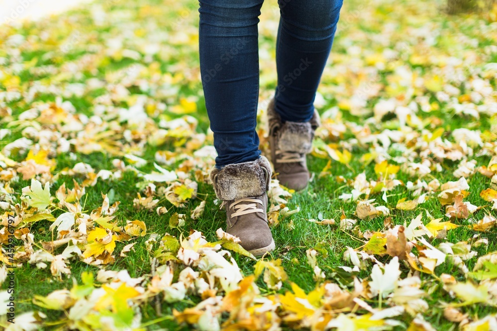 Autumn. Autumn.