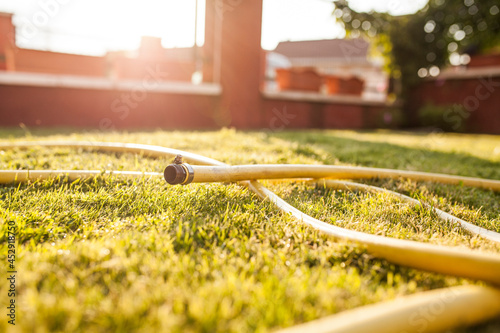 Hose deployed on the garden grass