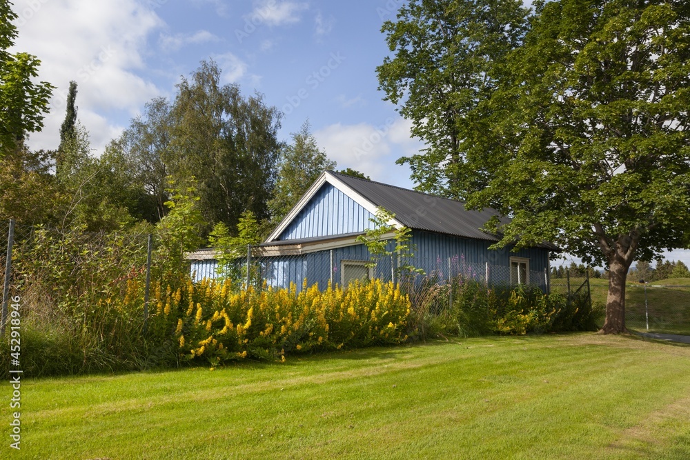 Fototapeta premium Veracruz.