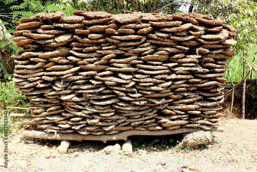 Cow dung cakes popularly from Gujarat and are being used as alternative fuel for cooking in India. - Image