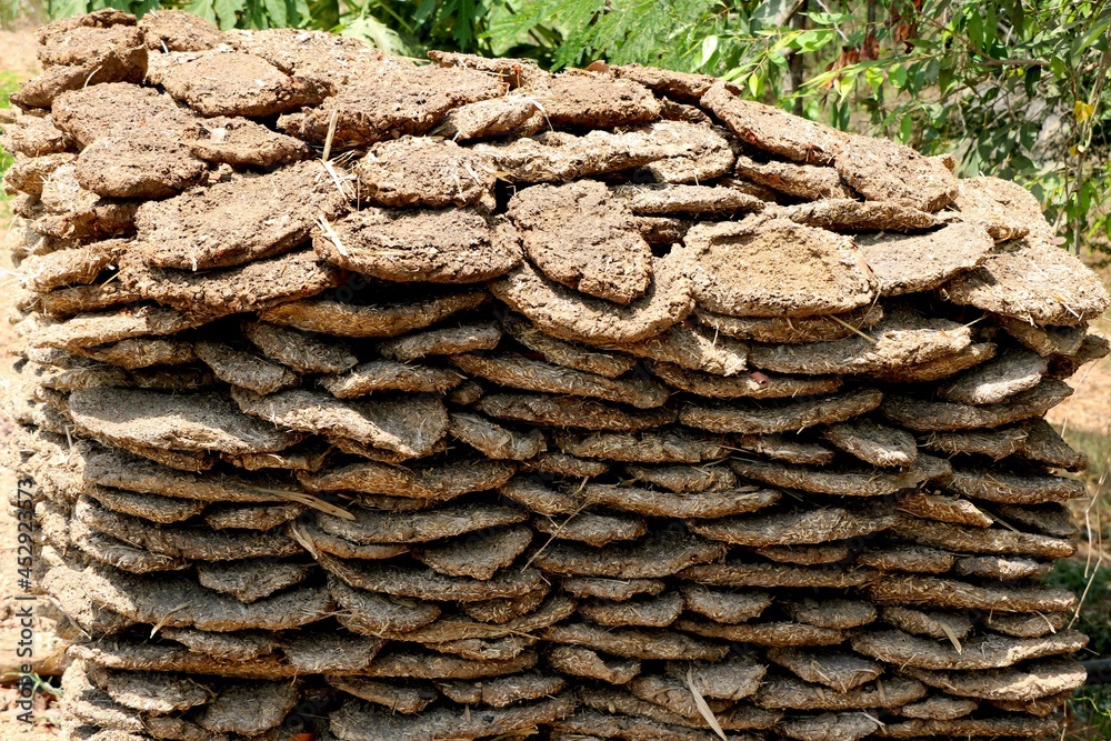 Cooking With Cow Dung