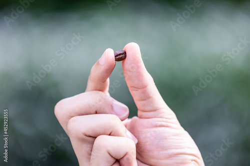 Close-up of fingers showing roasted coffee bean with blurred background.