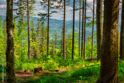 Fototapeta Naklejka Na Ścianę i Meble -  Beautiful landscape of the Silesian Beskids from Czantoria Wielka mountain. Poland