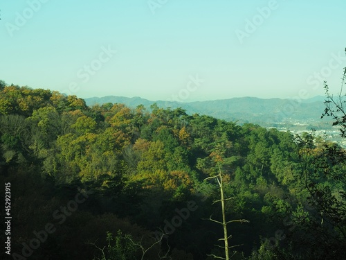 Karasawa Prefectural Natural Park with Autumn Leaves