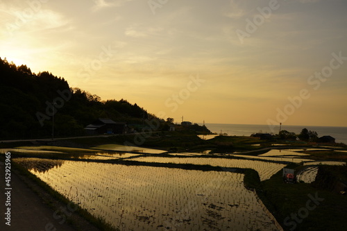 夕日の棚田