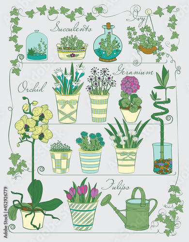 Flower pots and house plants set. Can be used as template, card, poster, etc