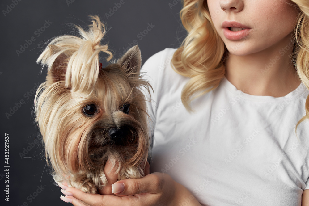 Blonde With Small Dog Purebred Fashion Fun Blonde With Small Dog Purebred Fashion Fun