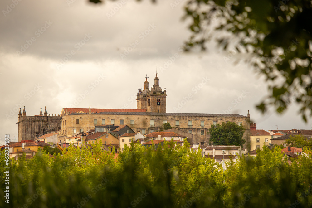 Cathedral of Viseu , with a bush in the foreground , Viseu , Portugal