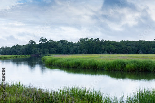 Early morning sunlight reflected in the waterway of a salt marsh, distant treeline and brilliant emerald green grass, horizontal aspect