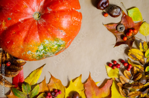 Selective focus Thanksgiving day decor with pumpkin  autumn leaves  rowan  acorns on beige paper background with copy space. Autumn season concept.