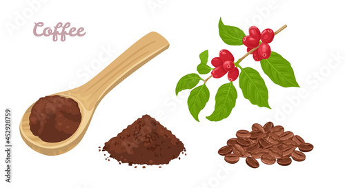 Coffee set. Ground coffee in a wooden spoon, heap of whole beans and a branch of a plant with coffee berries. Vector illustration in cartoon flat style.
