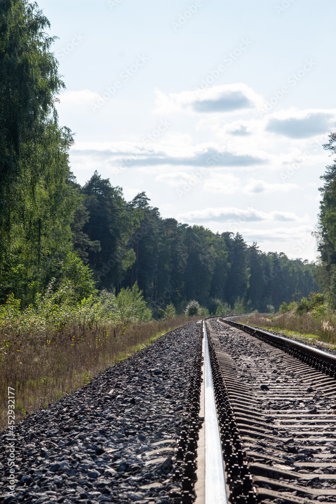 Fototapeta premium railway in the green forest in sunny summer day