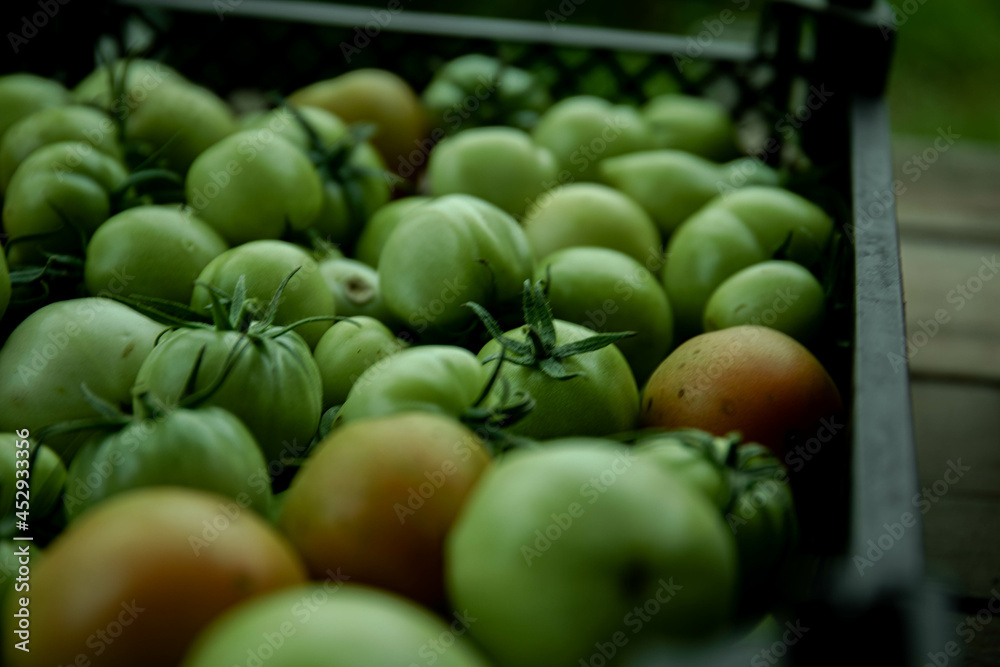 Green tomato (unripe) in wicker basket on wooden background. Unripe green tomato in bowl for fried dish or salted pickled vegetables. Raw green tomato on table for dinner Green tomato (unripe) in wicker basket on wooden background. Unripe green tomato in bowl for fried dish or salted pickled vegetables. Raw green tomato on table for dinner