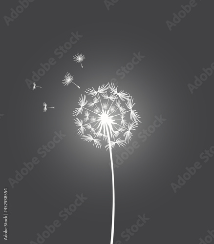 Glowing white dandelion on a black background. Fantasy illustration with dandelion and flying seeds. Monochrome drawing  vector. Lonely flower on a stem. Make a wish