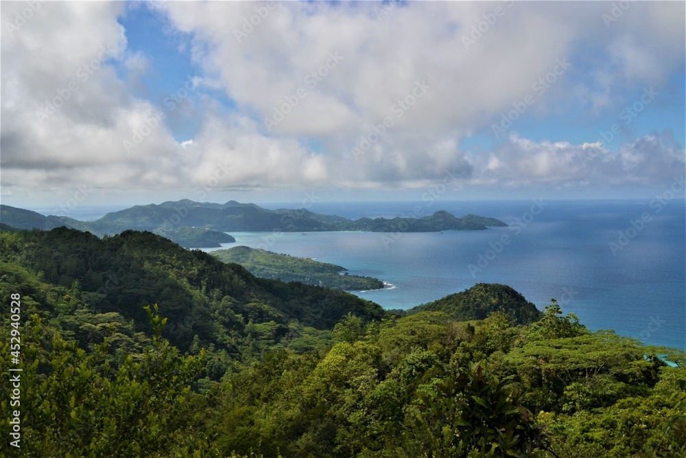 Fototapeta premium panorama