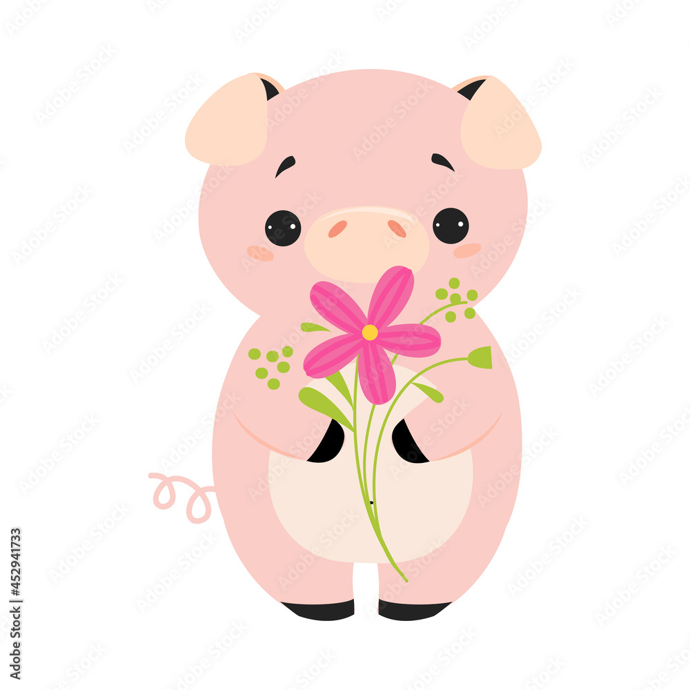 Fototapeta premium Cute Pink Pig Smelling Flower on Stalk Holding It with Paws Vector Illustration