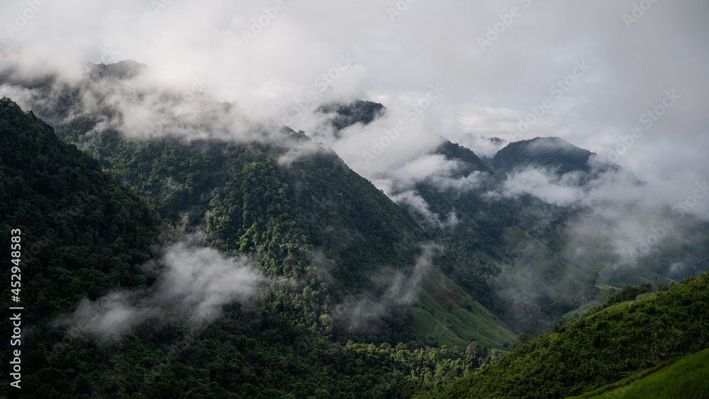 An aerial view of the forest amid the lush rain covering the tropical rainforest mountains during the rainy season in northern Thailand. The fertile forests of Thailand which is in the humid tropics